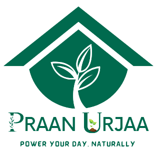 Praan Urjaa Logo 